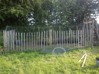 G.E. 78 - Grove - Summer Solstice! (Plant Pen) - 2 .jpg
