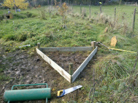 G.E. 79 - Grove - The Samhain Yew Bed - 2 - .jpg