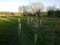 G.E. 82 - Grove - The Outer Fence! 11 - .jpg