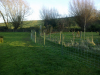 G.E. 82 - Grove - The Outer Fence! 13 - .jpg