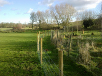 G.E. 82 - Grove - The Outer Fence! 7 - .jpg