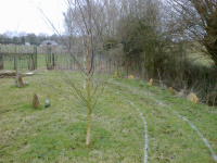 G.E. 83 - Grove - The start of the Bank and Ditch - 3 - .jpg