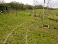 G.E. 83 - Grove - The start of the Bank and Ditch - 4 - .jpg