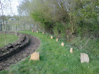 G.E. 84 - Grove - Completing the Bank and Ditch - 2 - .jpg
