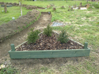 G.E. 89 - Grove - Completed! - The Samhain Yew Bed - 1 - .jpg