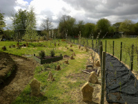 G.E. 90 - Grove - The Re-Routed Orchard Walk! Outer Path 3 .jpg