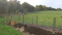 G.E. 97 - Grove - Composting the Orchard Beds! - 5 .jpg