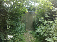 M.G. 1 - Grove - The Gateway! - 2