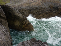 P1000612_w.jpg