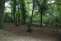 _K6A1903._w.jpg