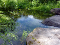 P1010423.jpg