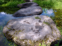 P1010424.jpg