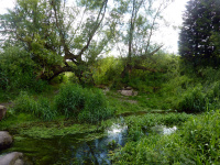 P1010432.jpg