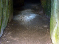 P1010438.jpg