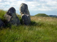 P1010440.jpg