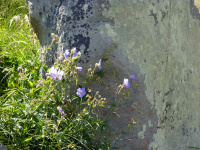 P1010442.jpg