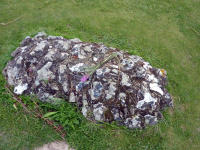 P1010444.jpg