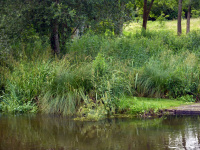 P1010455.jpg