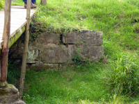 P1010456.jpg