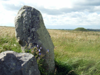 Pictures 2012 and 2011 - samhain journey stonehenge fire etc 108.jpg